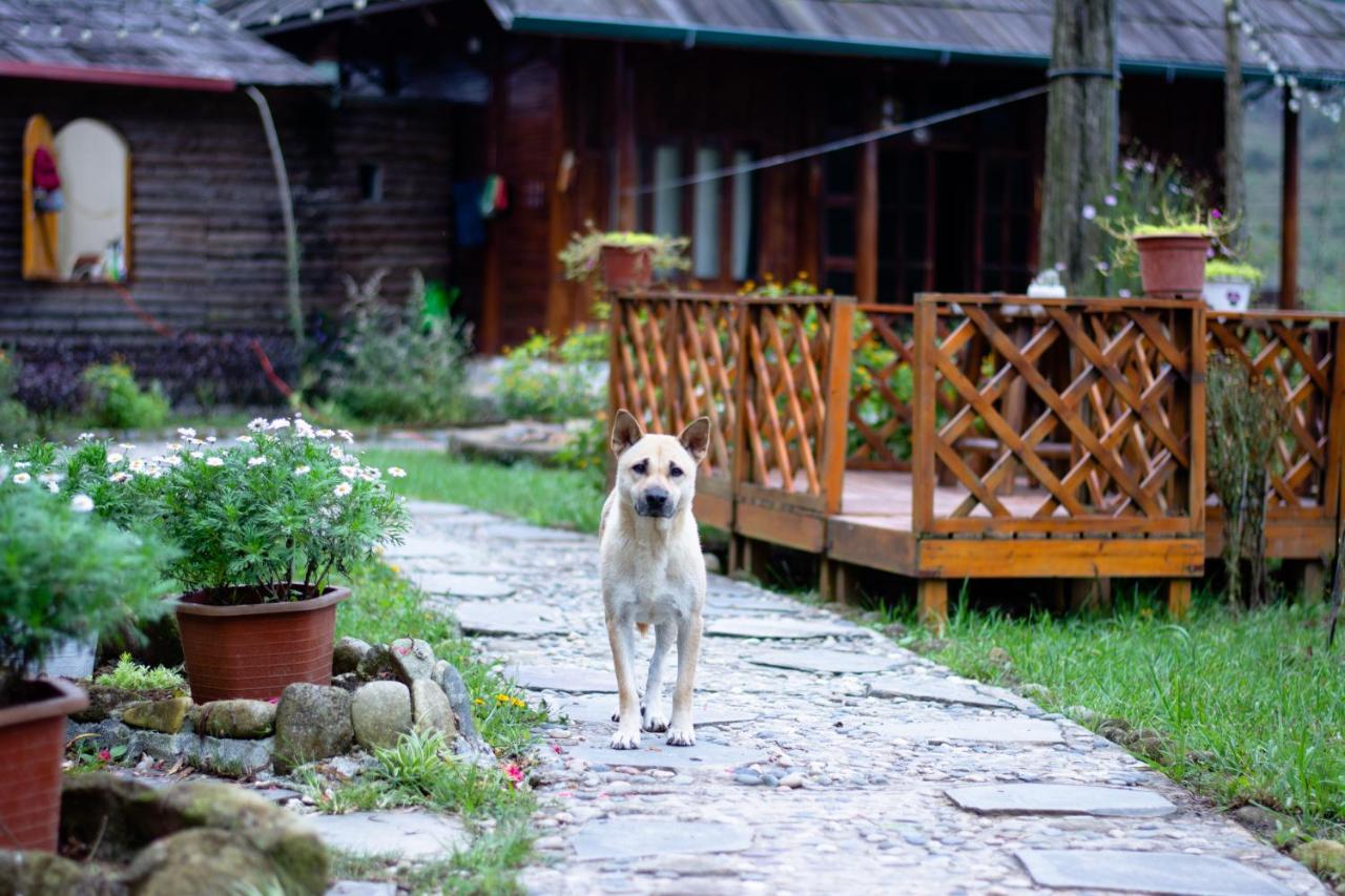 Homestay So 91-Suoi Ho Sapa Exteriér fotografie