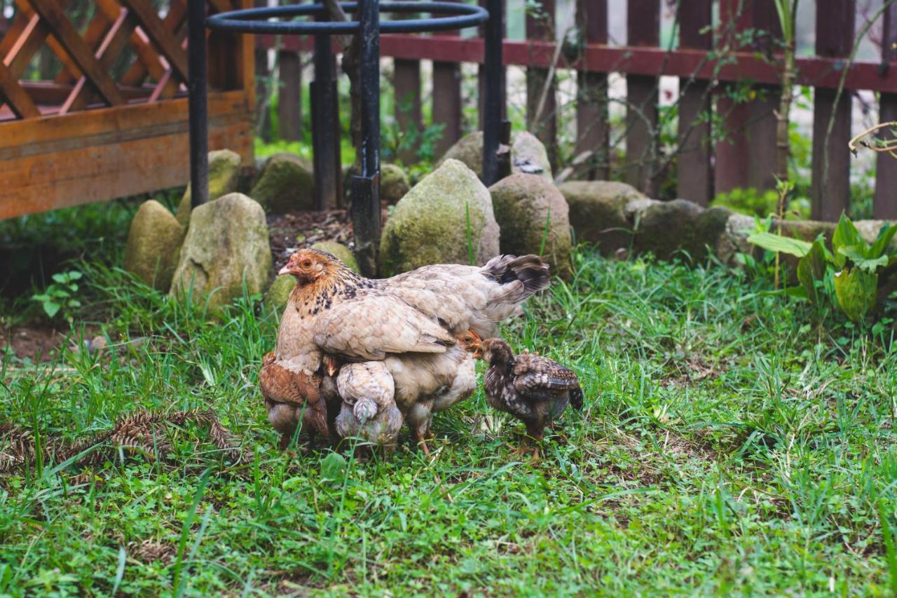 Homestay So 91-Suoi Ho Sapa Exteriér fotografie